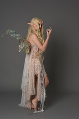 full length portrait blonde girl waring fairy costume, standing pose with back to the camera. grey...