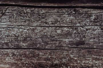 Wooden texture. The old log in the village.
