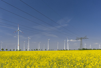 Windenergie Park mit Raapsfeld und Hochspannungsleitung
