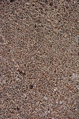 Sand with pebbles. Natural texture of sand with stones. Small plants on the sand.