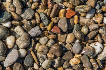 Bunte nasse runde Kieselsteine