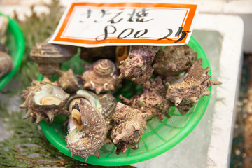 Fresh Japanese shellfish, Omicho Market at Kanazawa, JAPAN.
