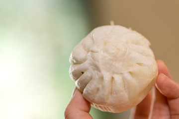 Steamed chinese bun closeup