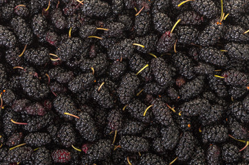 texture of fresh mulberry