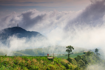 Naklejka na ściany i meble Landscape sea of mist on Phu- tub-berk Phetchabun province, Thailand.
