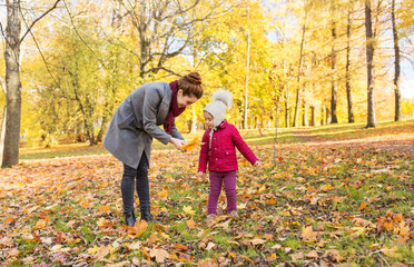 Fototapeta premium family, season and people concept - happy mother and little daughter with autumn leaves at park