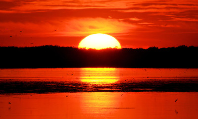  Kissimmee Sunset / Sunset at the Twin Oaks Conservation Area near Kissimmee, Florida.
