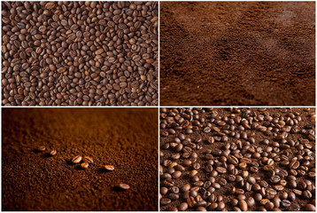 Coffee beans on coffee powder