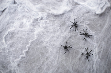 Cobweb with Black Spiders on Dark Cobweb Background, Halloween Symbol