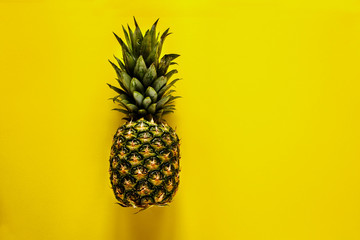 Tropical fruit pineapple