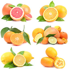 Fresh citrus fruit