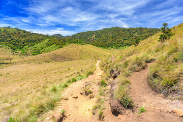 Fototapeta premium Beautiful landscape meadow from World's End within the Horton Plains National Park in Sri Lanka.