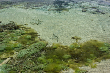 Mer et front de mer de Port Pollença