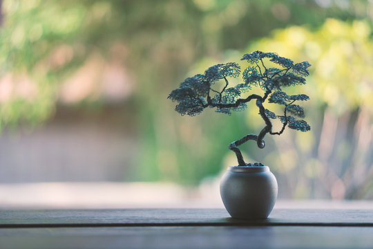 tree bending from the wire in a pot decorated in the garden.