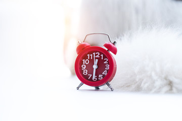 The alarm clock on white background