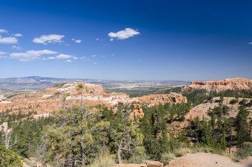 landscape on the bryce canyon in the united states of america