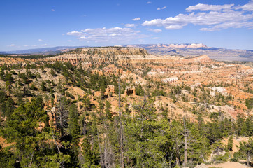 landscape on the bryce canyon in the united states of america