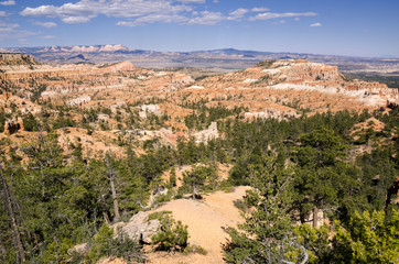 landscape on the bryce canyon in the united states of america