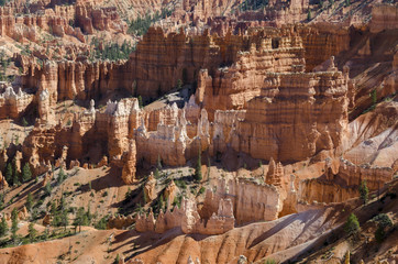 landscape on the bryce canyon in the united states of america