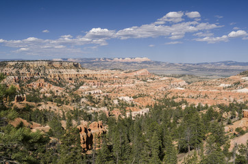 landscape on the bryce canyon in the united states of america