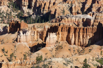landscape on the bryce canyon in the united states of america