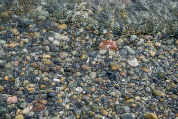 Sea Bottom Background 2