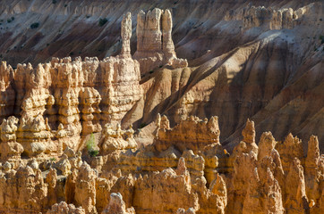 landscape on the bryce canyon in the united states of america