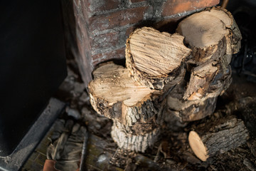 Wood fuel for wood-burning stove