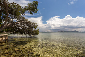 Fototapeta premium Mer et front de mer de Port Pollença