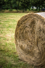 Heuballen Stroh Wiese