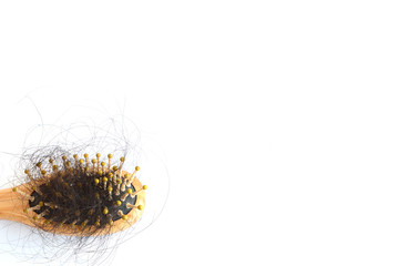 Hair loss, hair fall everyday serious problem, on white background.