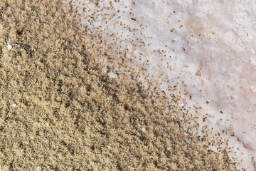 Obraz premium Salt Lake of Lipar, Sistan and Baluchistan, Iran