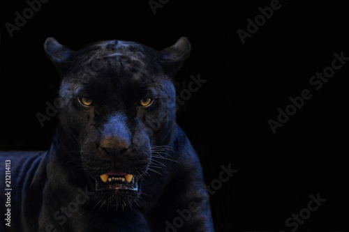 Unduh 75 Background Black Panther Paling Keren