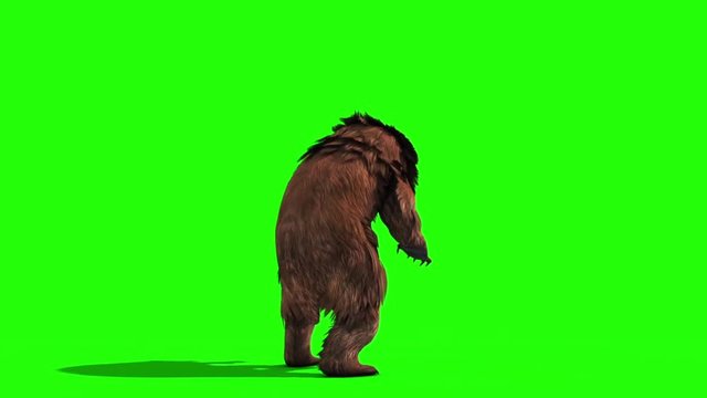 Brown BEAR Attacks Loop Back Green Screen 3D Rendering Animation