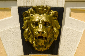The golden head of the lion The arboretum The city of Sochi 17.07.2011