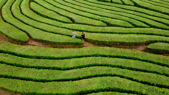 Couple walking in green bush labyrinth