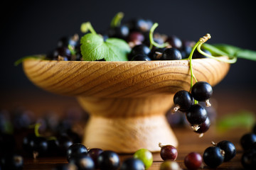 ripe berries black currant