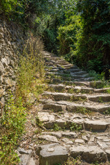 Vertical View of the Path between Corniglia and Vernazza at Summer.