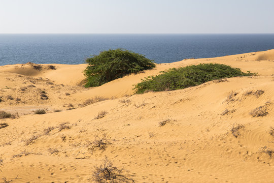 Coast of Chabahar, Sistan and Baluchistan, Iran
