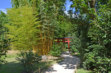 Bambouseraie garden in Anduze city