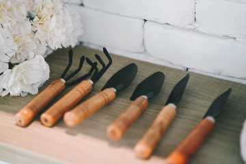 Garden Hand Tool Kit Plant Gardening Shovel Spade Rake Trowel Wood Handle Metal Head