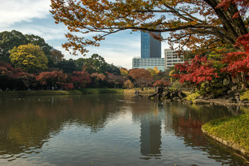Obraz premium The Tokyo skyline from its gardens