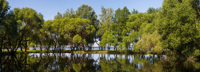 Fototapeta na wymiar Landscape with trees and water, bright day