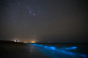 Fototapeten Bioluminescence in the Ocean, Chabahar, Sistan and Baluchistan, Iran © sghiaseddin