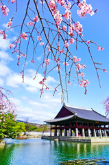 Naklejka premium Widok na piękne kwiaty wiśni nad jeziorem w pałacu Gyeongbok wiosną w Seulu, w Korei Południowej.