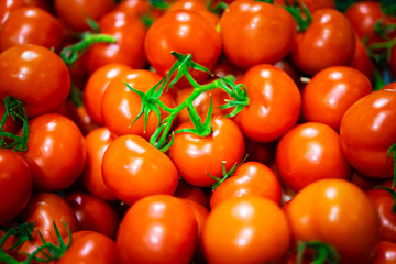 Tomatoes in the supermarket.
