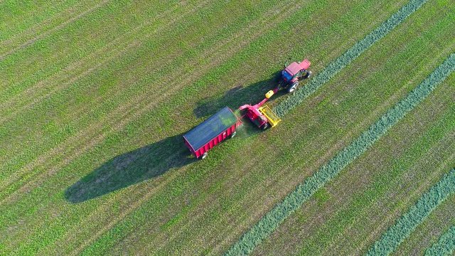 Traditional farm tractor with wagon harvesting alfalfa at sunset, aerial view.
