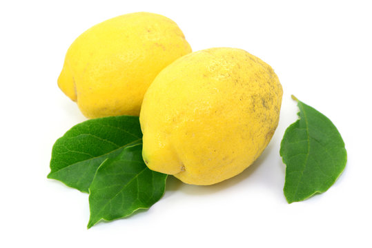 Zitronen Blätter