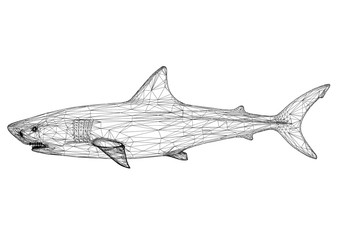 White Shark Architect Blueprint - isolated