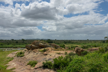 Landschaft, Limpopo, Südafrika, Afrika